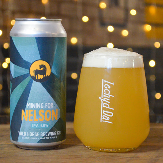 Mining For Nelson | IPA | 6.0%