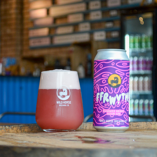 Ffrwyth! | Summer Berry Sour | 4.5%