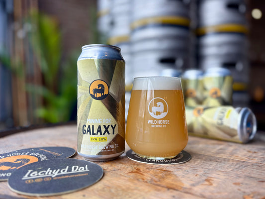 Mining For Galaxy | IPA | 6.0%