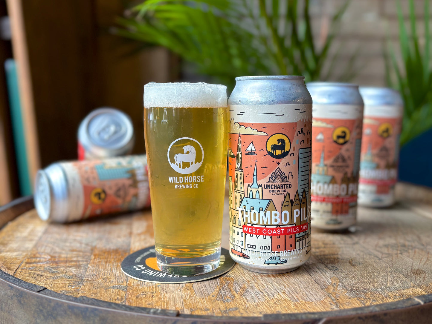 Thombo Pils | West Coast Pilsner | 5.0%